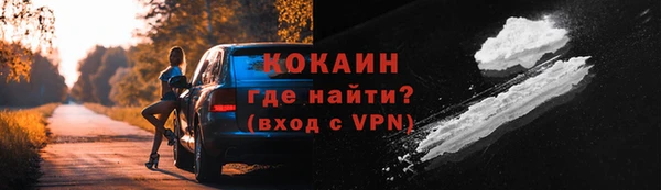 мяу мяу мука Гусь-Хрустальный