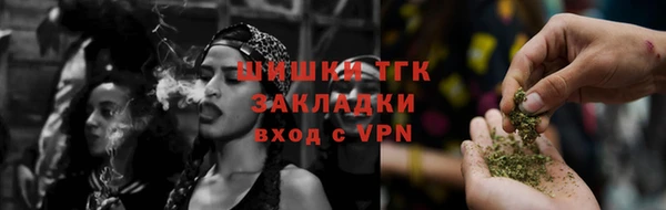 мяу мяу мука Гусь-Хрустальный