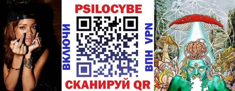 Псилоцибиновые грибы мицелий  Купить  Покровск 